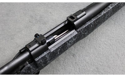 Remington ~ Model 700 LR ~ .300 Winchester Magnum