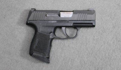 Sig Sauer ~ P365 ~ 9mm Luger