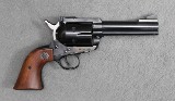 Ruger ~ Blackhawk ~ .45 Colt