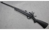 Savage ~ Rascal ~ .22 S,L,LR - 3 of 3