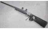 BSA ~ Martini ~ Unconfirmed - 4 of 7