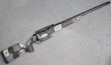 Springfield ~ Model 2020 Waypoint ~ .300 Win Mag - 1 of 5