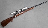 Winchester ~ Model 70 Varmint ~ .243 Winchester - Image 1 of 5
