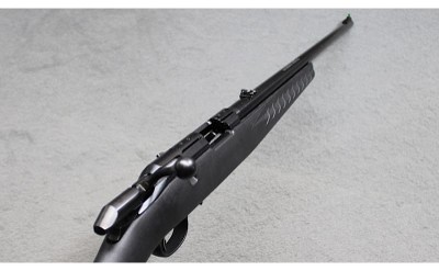 Ruger ~ American ~ .17 HMR - Image 3 of 5