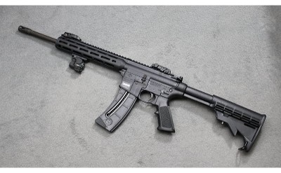 Smith & Wesson ~ M&P 15-22 ~ .22 Long Rifle - Image 2 of 5