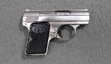 Precision Small Arms ~ PSA-25 ~ .25 ACP - Image 1 of 2