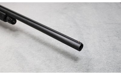 Winchester ~ SXP ~ 12 Gauge - Image 5 of 5