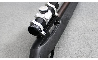 Ruger ~ 10/22 Carbine ~ .22 Long Rifle - Image 3 of 6