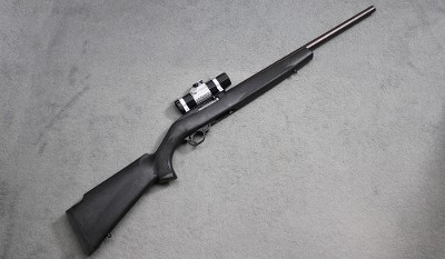 Ruger ~ 10/22 Carbine ~ .22 Long Rifle - Image 1 of 6
