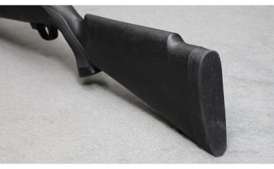 Ruger ~ 10/22 Carbine ~ .22 Long Rifle - Image 5 of 6