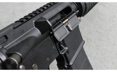 Bushmaster ~ XM15-E2S ~ 5.56 NATO - Image 3 of 5