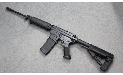 Bushmaster ~ XM15-E2S ~ 5.56 NATO - Image 2 of 5