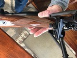 Browning Safari 243 Win Heavy Barrel bolt action rifle As New condition! - 10 of 13
