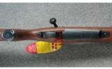 Winchester Model 70 Super Grade 7x57 Mau. - 3 of 7