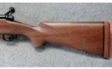 Winchester Model 70 Super Grade 7x57 Mau. - 7 of 7