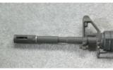 Bushmaster XM15-E2S Carbine 5.56 NATO - 8 of 8