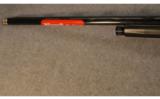 Benelli Super Sport 20 Gauge 28” - 8 of 9