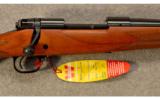 Winchester Model 70 Westerner 7mm Rem. Mag. - 2 of 9