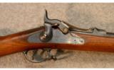 Springfield 1873 .45-70 Smooth Bore - 2 of 9