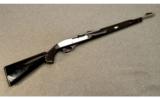 Remington Apache Black/Chrome Nylon 66 .22 LR - 1 of 9