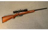 CZ 527 Varmint .223 Remington With Scope - 1 of 9