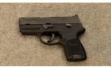 Sig Sauer P250 .40 S&W - 2 of 2