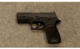 Sig Sauer P250 9mm - 2 of 2