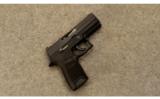 Sig Sauer P250 9mm - 1 of 2