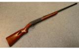 Remington 241 Speedmaster
.22 LR - 1 of 9