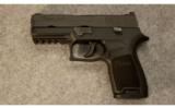 Sig Sauer P250 .45 ACP - 2 of 2