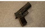 Sig Sauer P250 .45 ACP - 1 of 2
