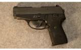 Sig Sauer P239
.40 S&W - 2 of 2