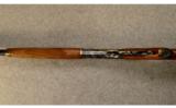 Winchester Model 1886 Deluxe.45-70 Govt. - 4 of 10