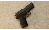 Sig Sauer P229.40 S&W - 1 of 2