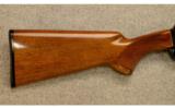 Browning BPR-22 Magnum
.22 WMR - 3 of 9