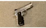 Springfield Armory Champion Stainless
.45 ACP - 1 of 2