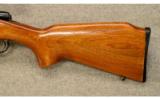 Remington Model 788
6mm Rem. - 7 of 9