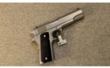 Colt ~ Stainless Government ~ .45 ACP - 1 of 3