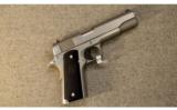 Colt ~ Stainless Government ~ .45 ACP - 1 of 3