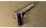 Colt ~ Stainless Government ~ .45 ACP - 1 of 3