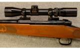 Winchester ~ Model 70 XTR Featherweight ~ .223 Rem - 4 of 9