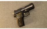 Sig Sauer ~ Model P229 Equinox ~ .40 S&W - 1 of 3