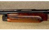 Benelli ~ S.B.E, 25th Anniversary Pacific Flyway ~ 12 Ga. - 7 of 9