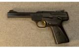 Browning ~ Buck Mark Standard ~ .22 LR - 2 of 2