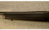 Browning ~ X-Bolt Composite Stalker ~ .300 Win. Mag. - 7 of 9