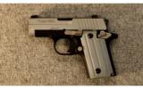 SIG Sauer ~ Model P238 Two-Tone ~ .380 ACP - 2 of 3