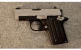 Sig Sauer ~ Model P238 Two-Tone ~ .380 ACP - 2 of 3
