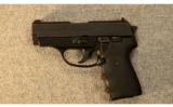 SIG Sauer ~ Model P239 ~ .40 S&W - 2 of 3