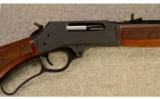 Henry ~ Steel Lever Action ~ .45-70 Govt. - 2 of 9