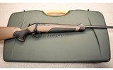 Blaser ~ R8 African Package ~ .375 H&H & .300 Win. Mag. - 4 of 5